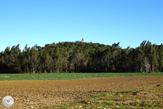 Ruta dels pantans d