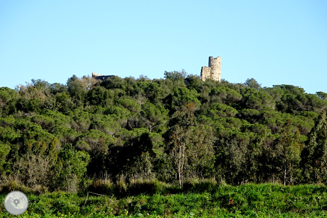 Ruta dels pantans d