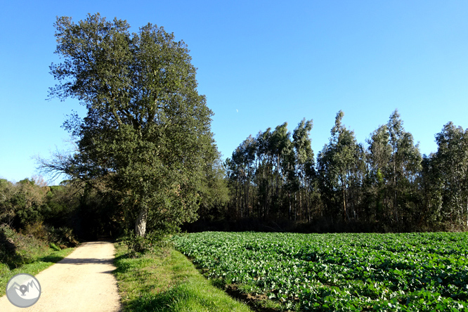 Ruta dels pantans d