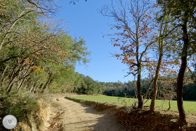 Ruta dels pantans d