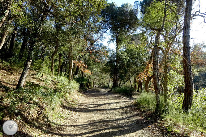 Ruta dels pantans d