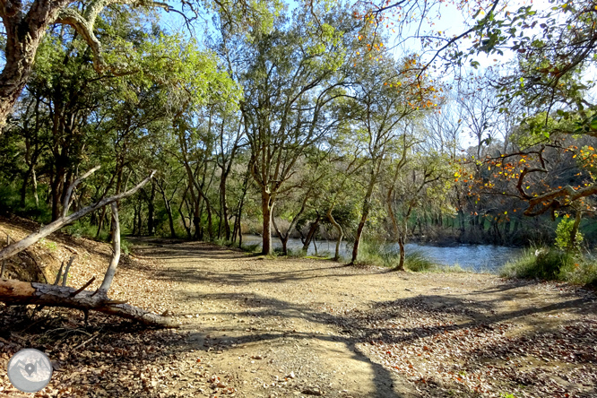 Ruta dels pantans d