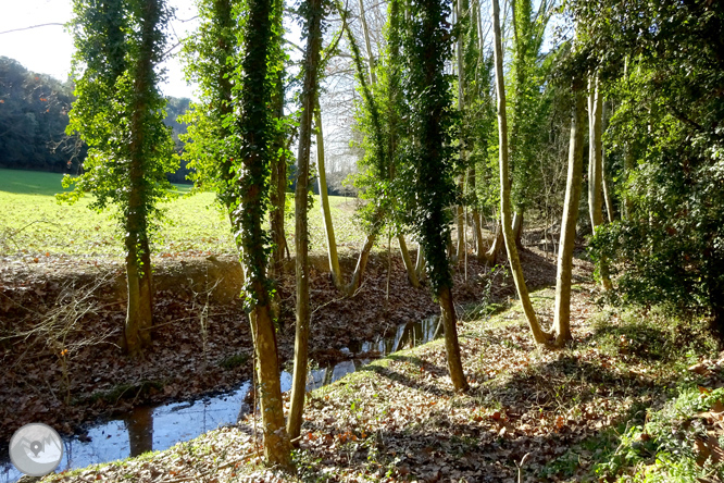 Ruta dels pantans d