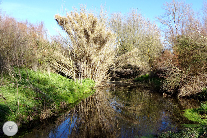 Ruta dels pantans d