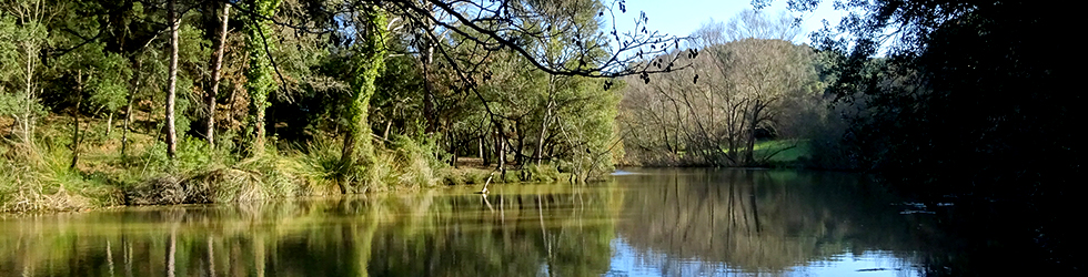Ruta dels pantans d´en Llobet a Vidreres