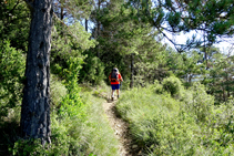 Seguint el GR 241, el sender de Borredà.