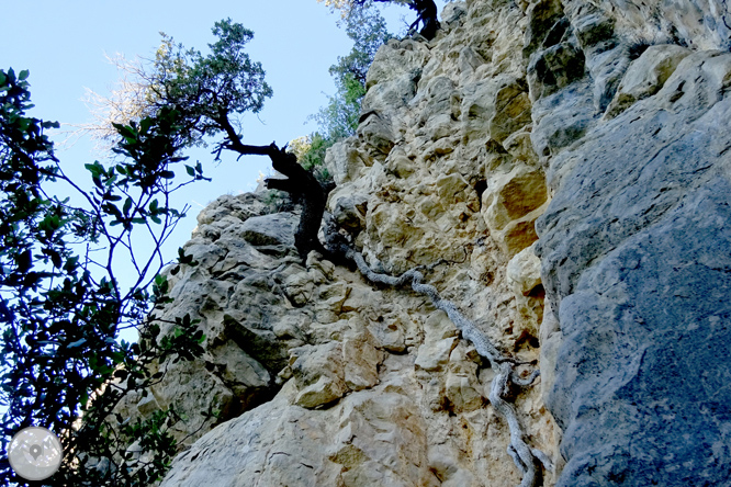 Pels voltants de Vilada al Berguedà 1 