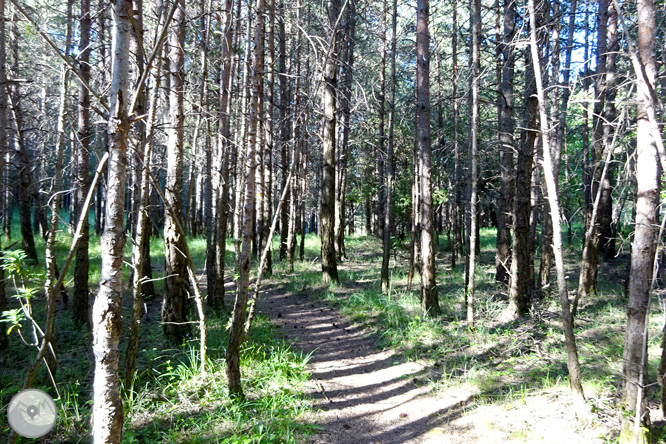 Pels voltants de Vilada al Berguedà 1 