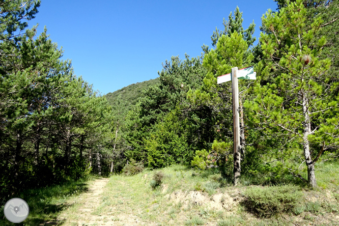 Pels voltants de Vilada al Berguedà 1 