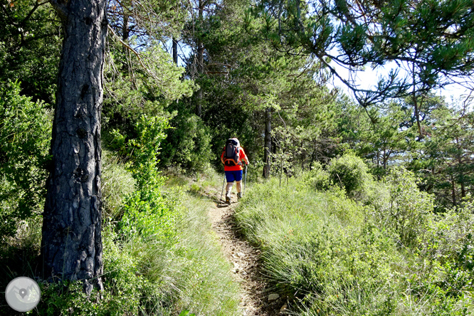 Pels voltants de Vilada al Berguedà 1 