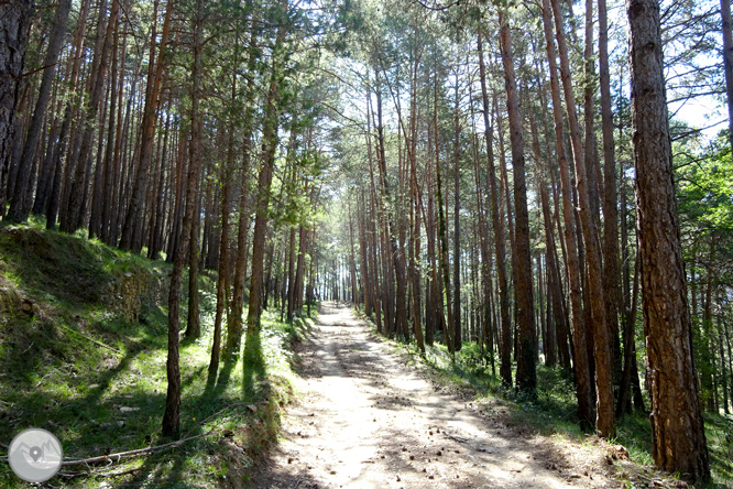 Pels voltants de Vilada al Berguedà 1 