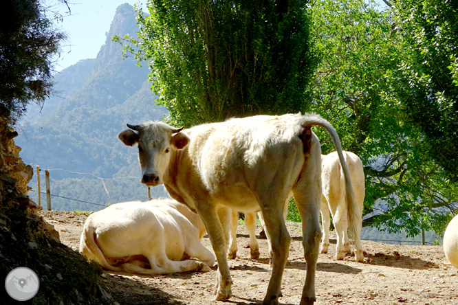 Pels voltants de Vilada al Berguedà 1 