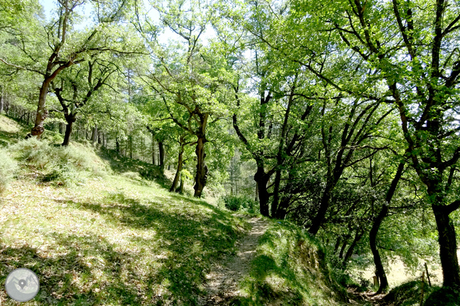 Pels voltants de Vilada al Berguedà 1 