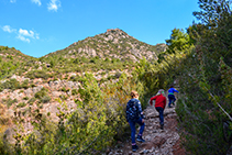 El camí és pedregós i avança entre matollars.