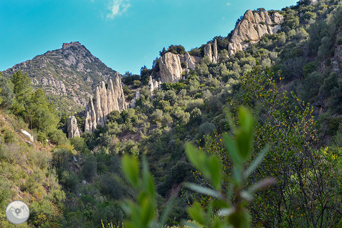 Pujada a l’ermita de Sant Salvador de les Espases 1 