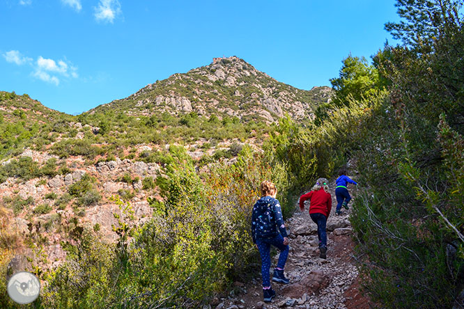 Pujada a l’ermita de Sant Salvador de les Espases 1 