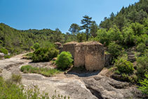 Les tines del Ricardo estan situades a peu de la pista per on farem la tornada cap a ca n’Oristrell.