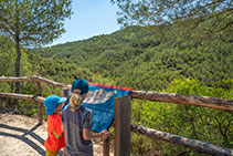 Mirador a peu de pista (tornada) des d’on es veuen les tines de l’Escudelleta. El panell informatiu il·lustra com era el paisatge antigament, amb les vinyes.