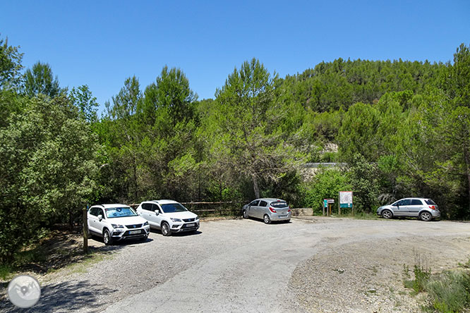 Ruta a les Tines de la vall del Flequer 1 