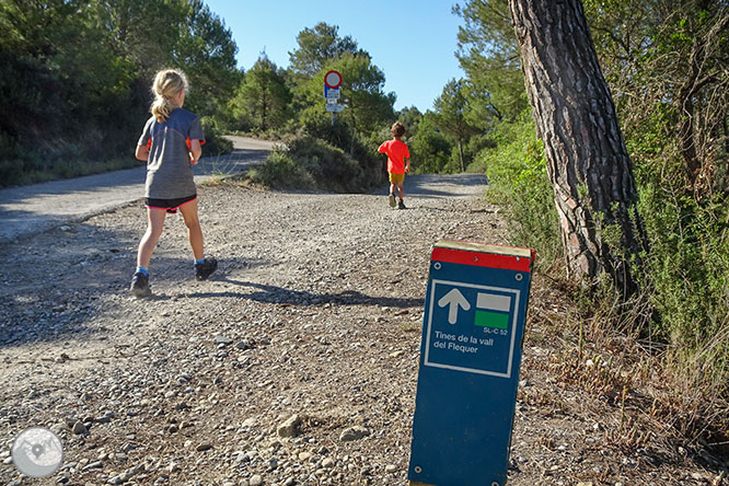 Ruta a les Tines de la vall del Flequer 1 