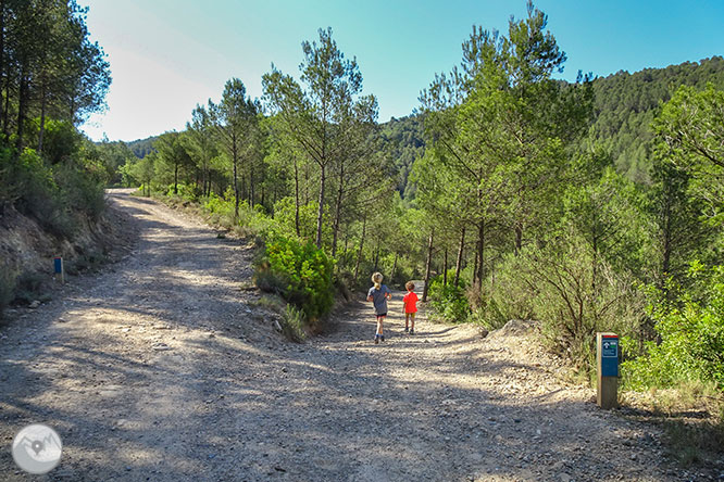 Ruta a les Tines de la vall del Flequer 1 