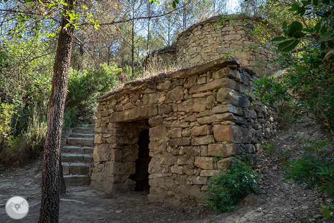 Ruta a les Tines de la vall del Flequer 1 