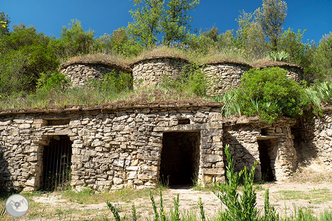 Ruta a les Tines de la vall del Flequer 1 