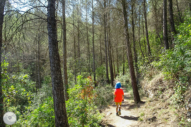 Ruta a les Tines de la vall del Flequer 1 