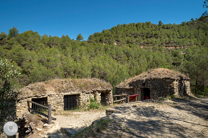 Ruta a les Tines de la vall del Flequer 1 