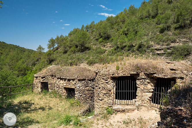 Ruta a les Tines de la vall del Flequer 1 