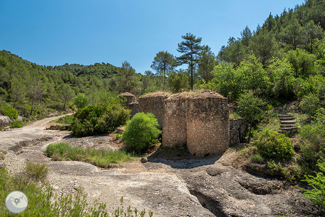 Ruta a les Tines de la vall del Flequer 1 