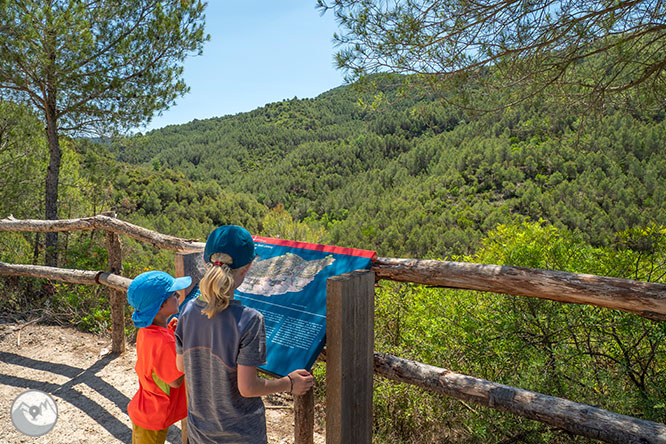 Ruta a les Tines de la vall del Flequer 1 