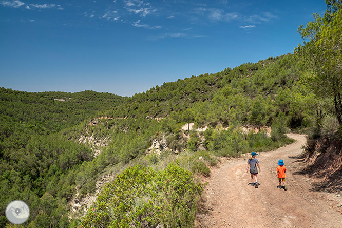 Ruta a les Tines de la vall del Flequer 1 