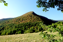 La sequera als boscos del Berguedà.