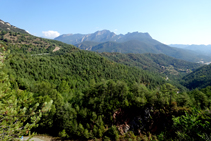 Vista als cingles de Sobrepuny des del camí.