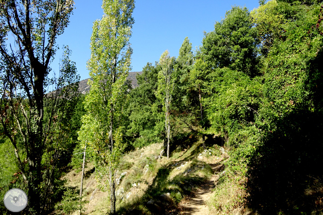 El tramvia de sang 1 