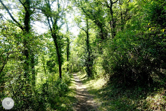 El tramvia de sang 1 