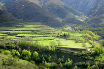 Prats de pastura a Gavàs.