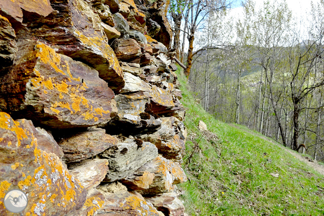 Descobrint la vall d