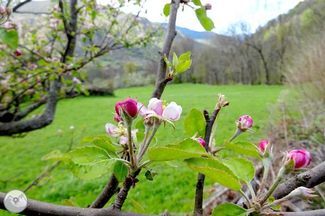 Descobrint la vall d