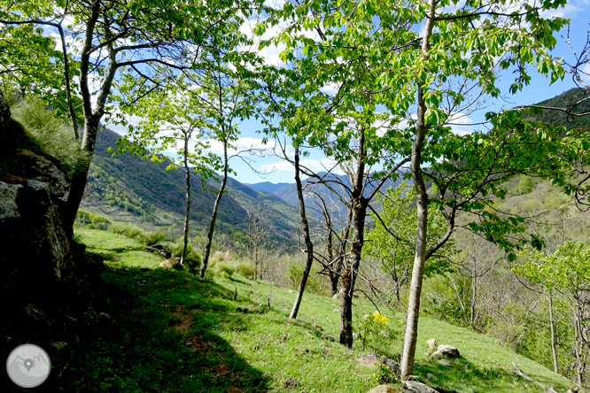 Descobrint la vall d