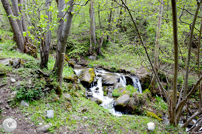 Descobrint la vall d