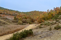 Torrent de la Fàbrega en època seca.