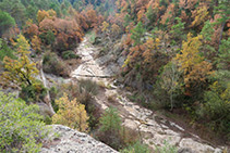 Torrent de Fàbrega en època seca.