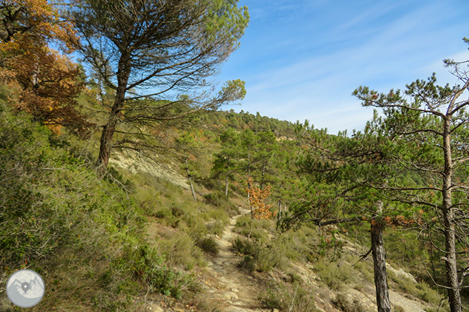 Molí de Brotons i salt de la Tosca a la vall de Marfà 1 