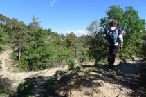 Passem al vessant N del serrat de les Tombes i enllacem amb una pista.