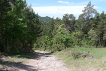 Anem a parar a una pista de terra.