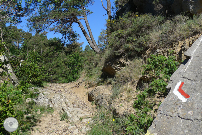 Ruta circular per la Quar del Berguedà 1 