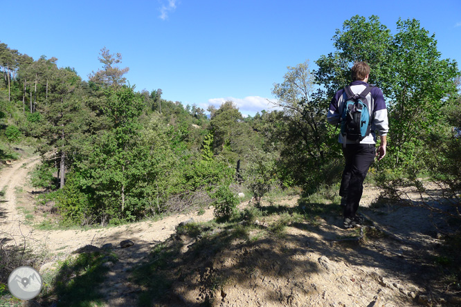 Ruta circular per la Quar del Berguedà 1 