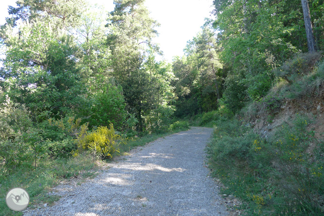 Ruta circular per la Quar del Berguedà 1 